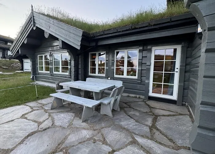 Lovely Log At Lifjell